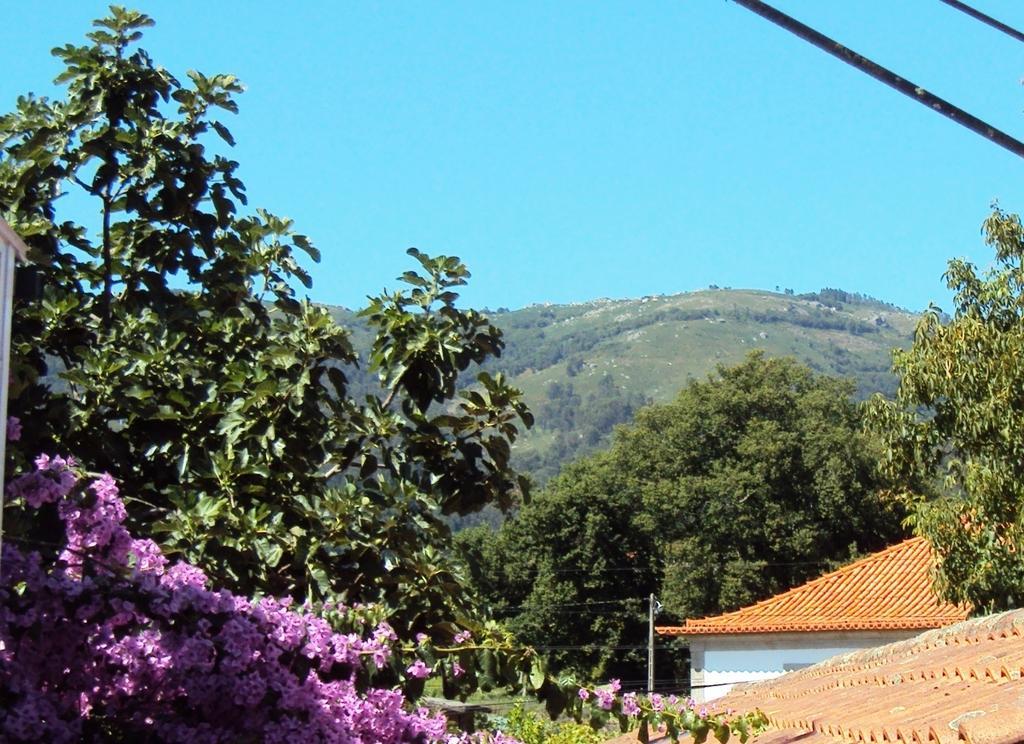 Casa Do Mosteiro De Refoios Do Lima Ponte de Lima Cameră foto